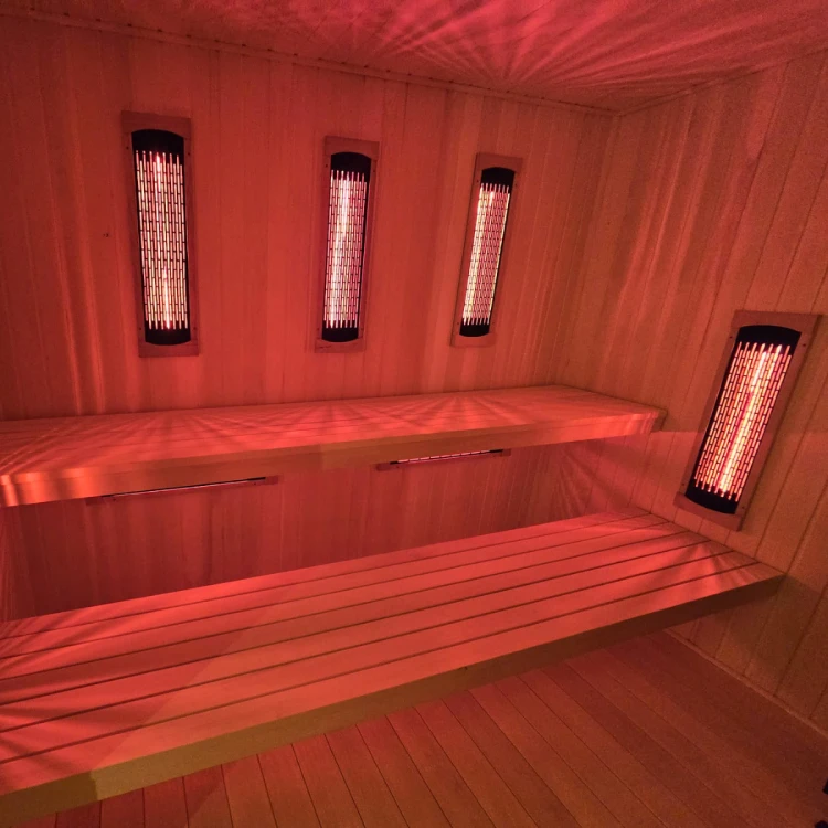 Designerski Dom Wellness: sauna, morsowanie i regeneracja w jednym module.